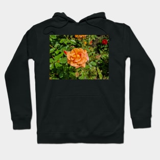 Orange Rose Hoodie